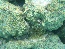 P1000702