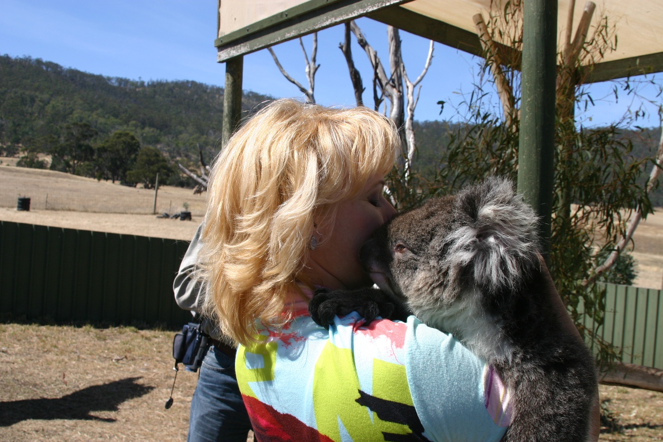Coala Kiss