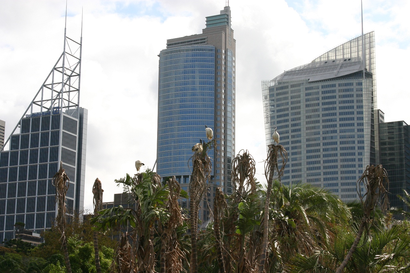Botanic Garden and City
