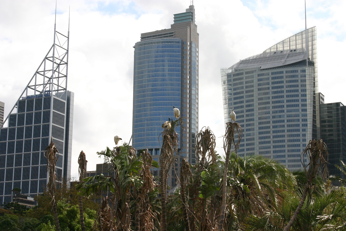 Botanic Garden and City