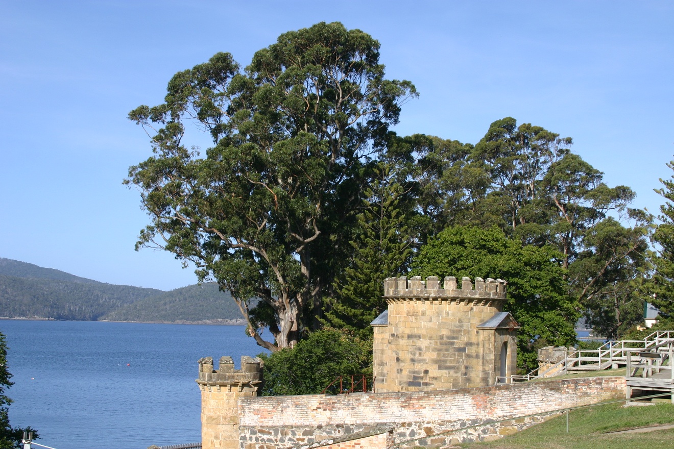 Still Port Arthur