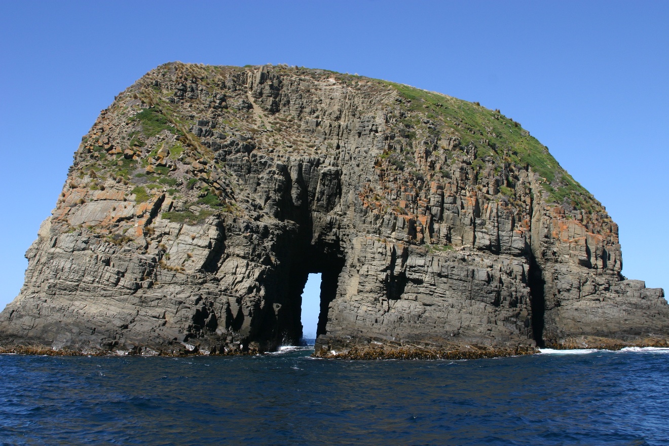 The Rock