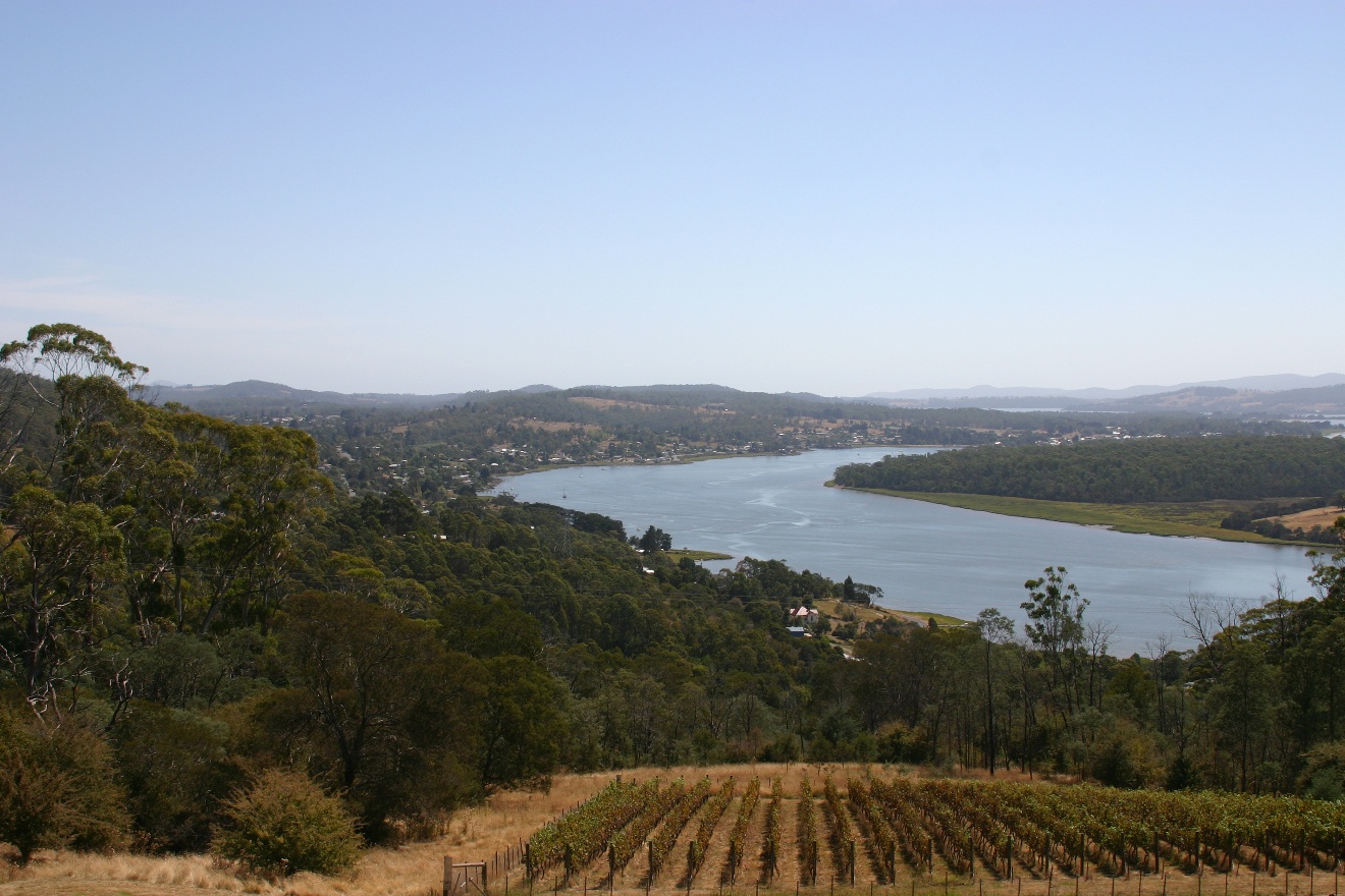 Tasmania view