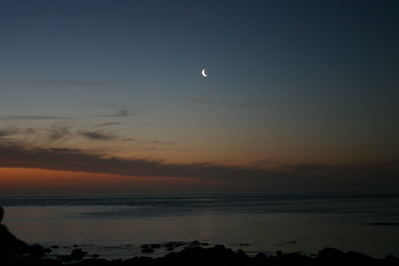 Young Moon.