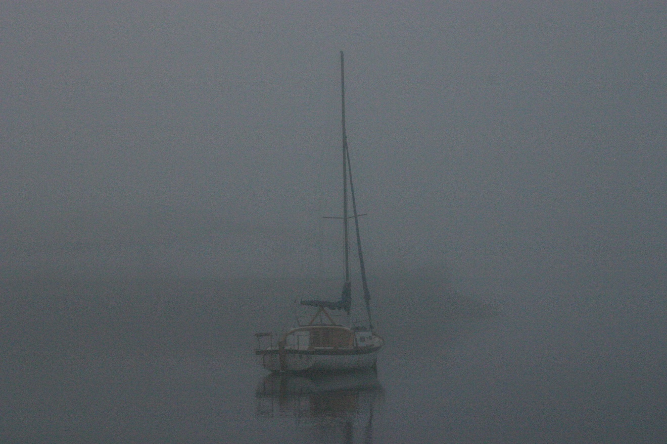 Fog