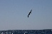 IMG_4167
