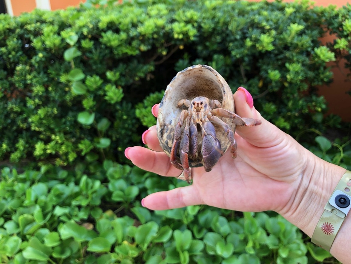 Moving with his home