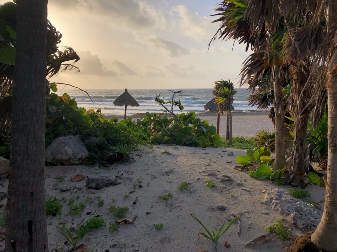 Passage to the beach