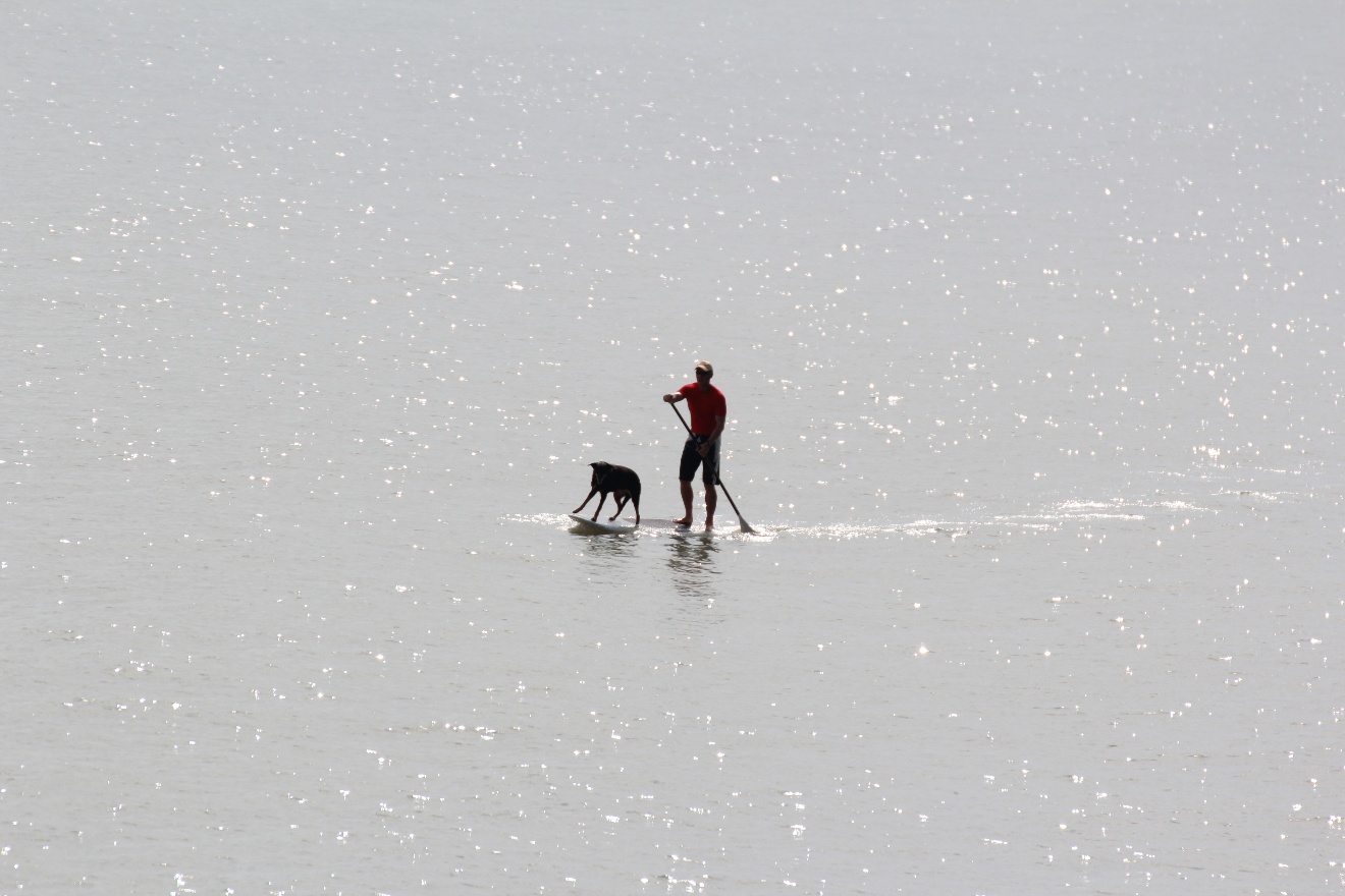 Man and a dog