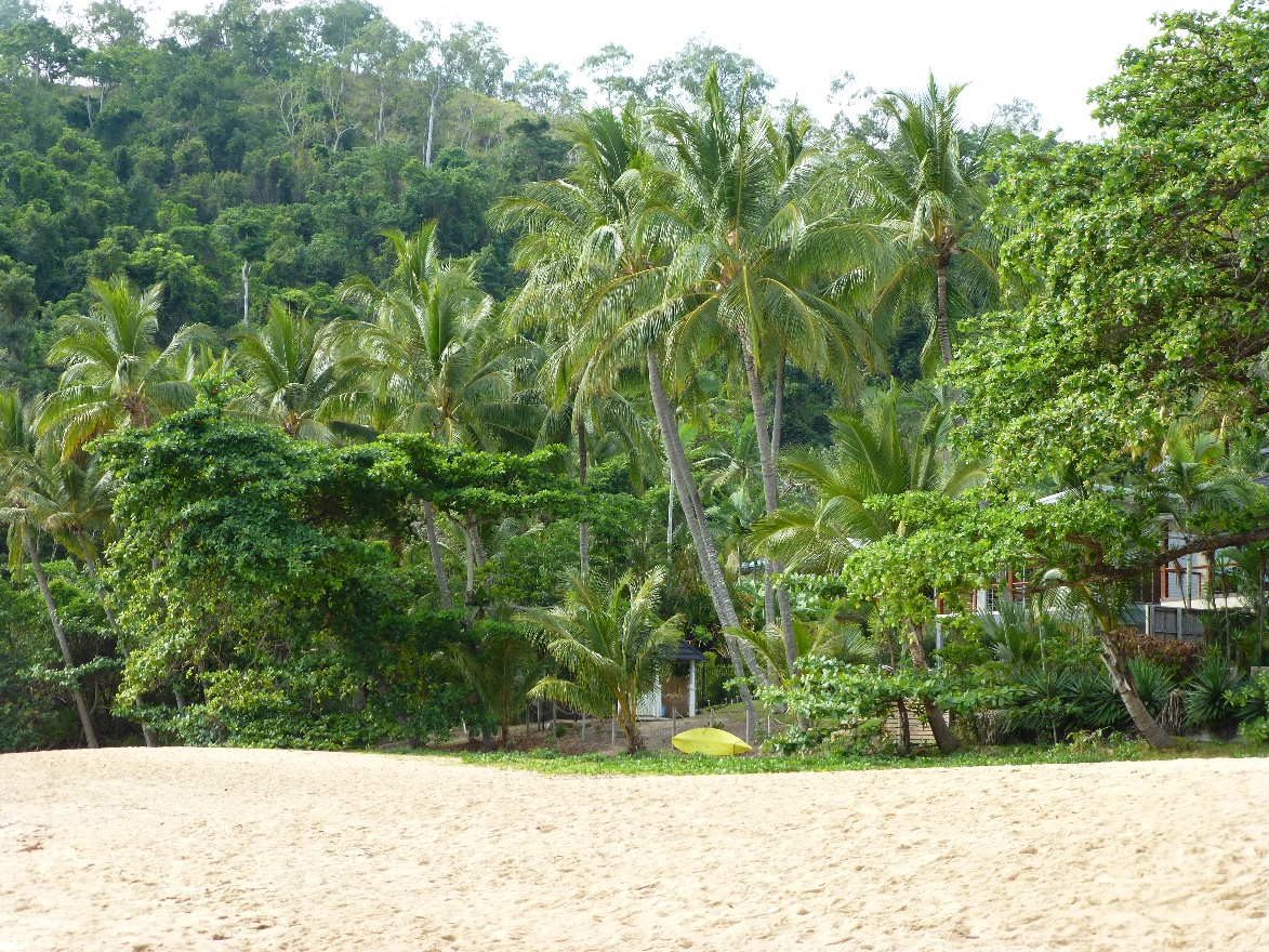 Surf board
