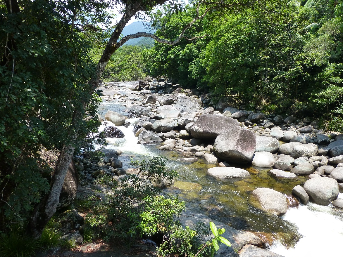 Gorge River