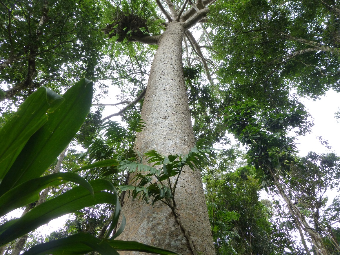 P1010269.JPG