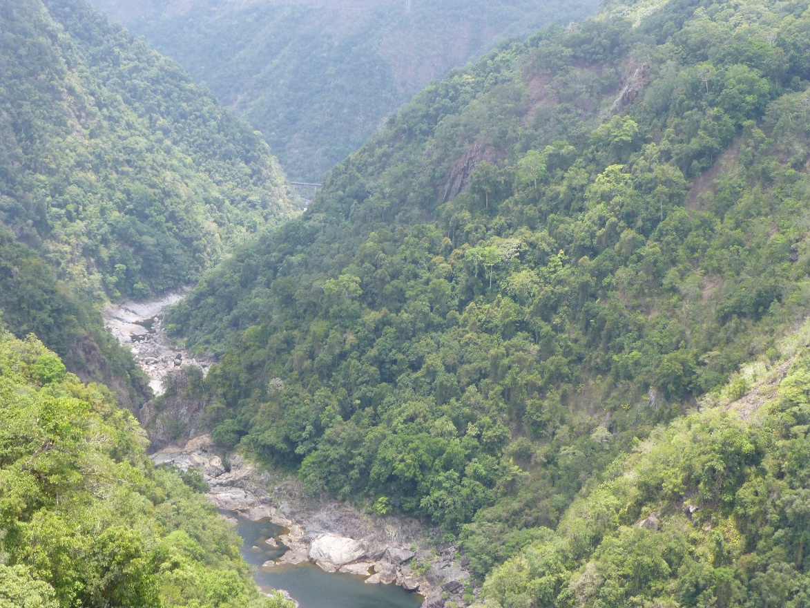 P1010288.JPG