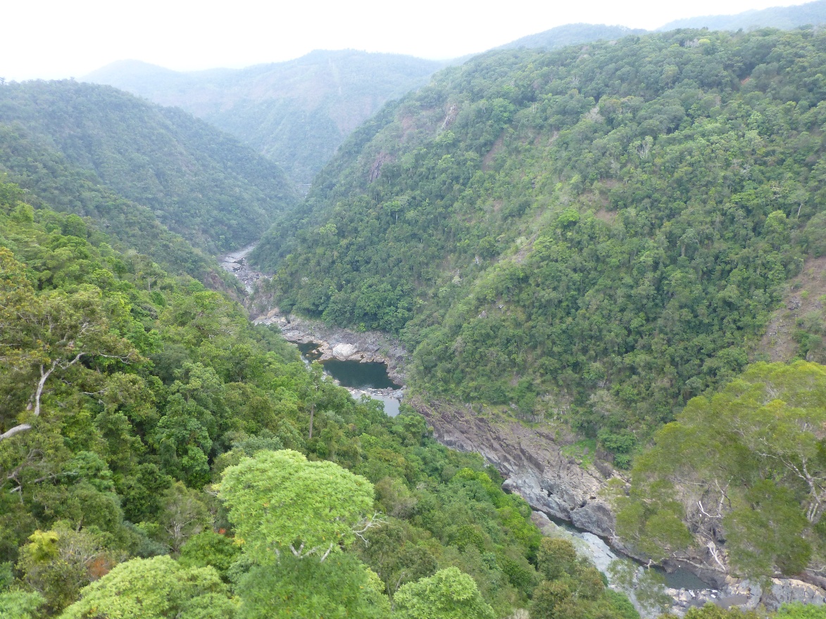 Gorge