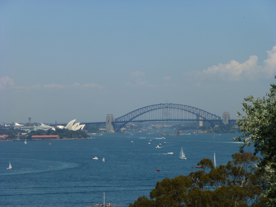 Opera and Bridge
