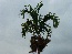 P1010163
