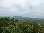 P1010277