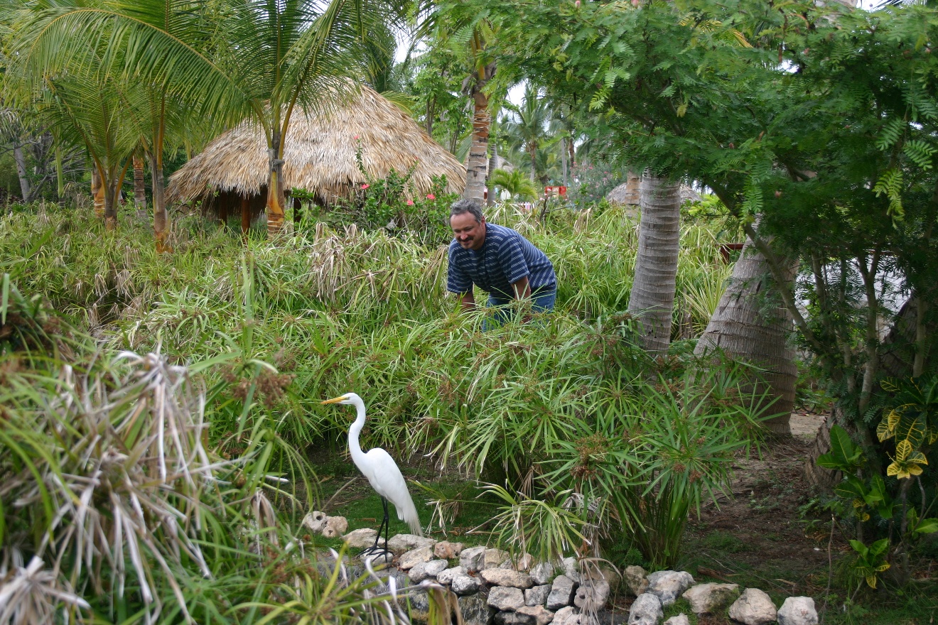 Stork in trouble