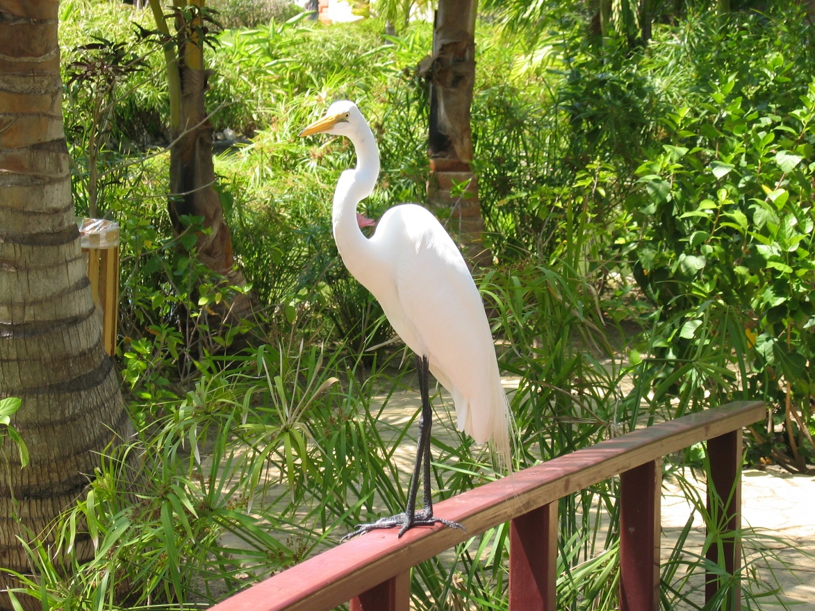 IMG_1129.JPG