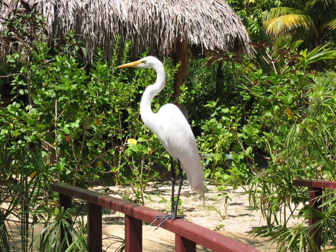 IMG_1131.JPG