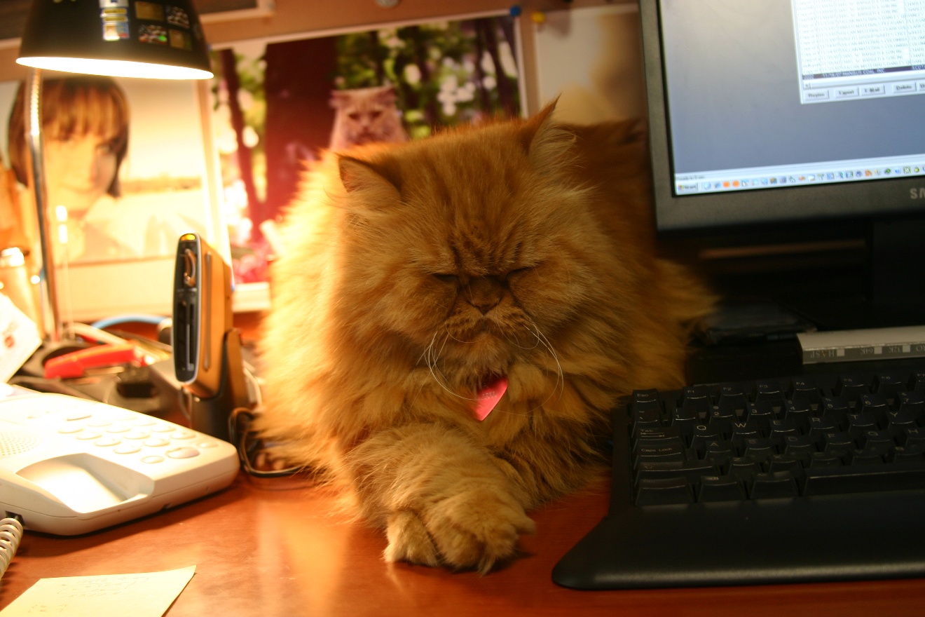 Sonya on desk