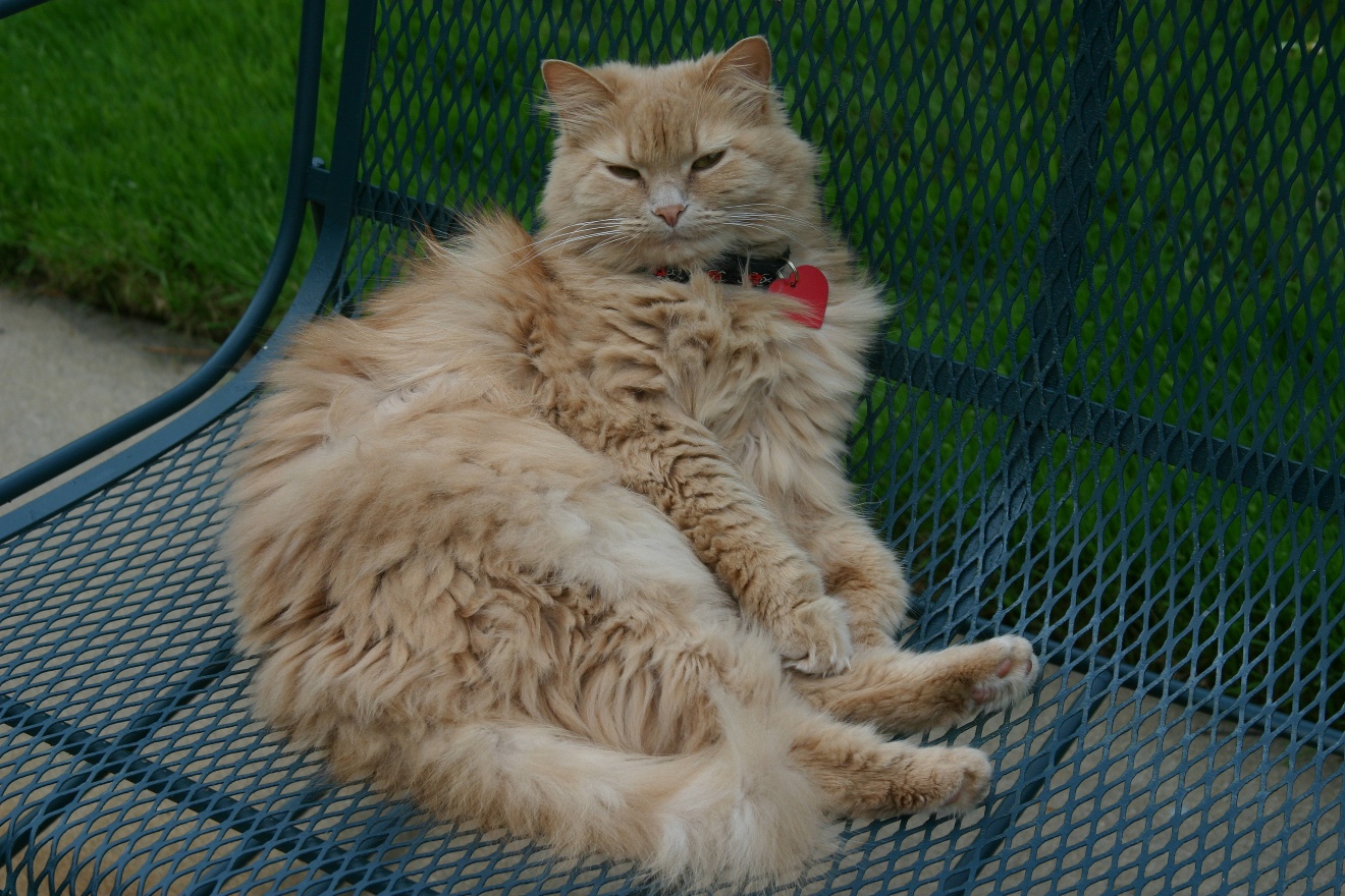 Lazy even more