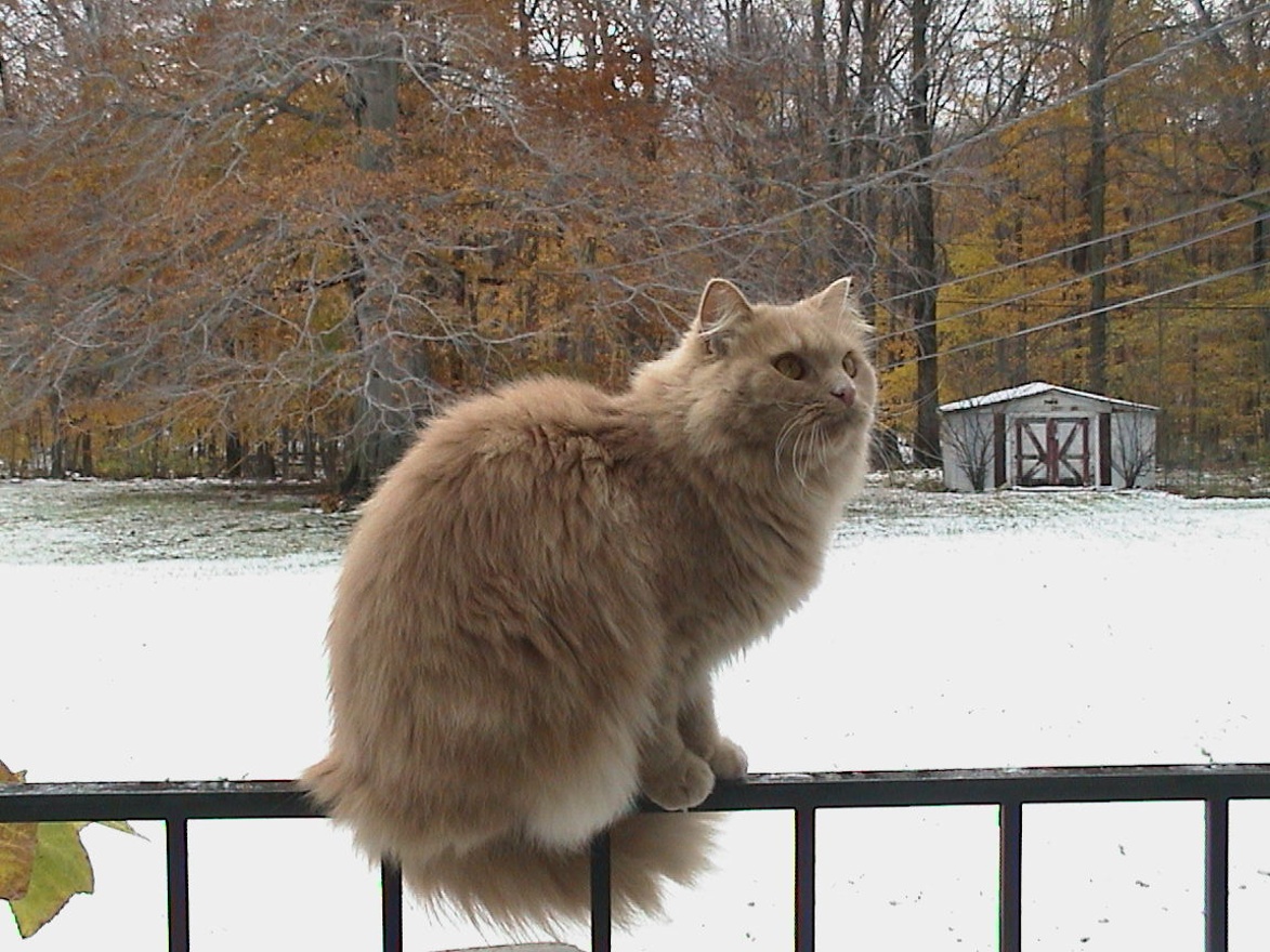 On balcony rails