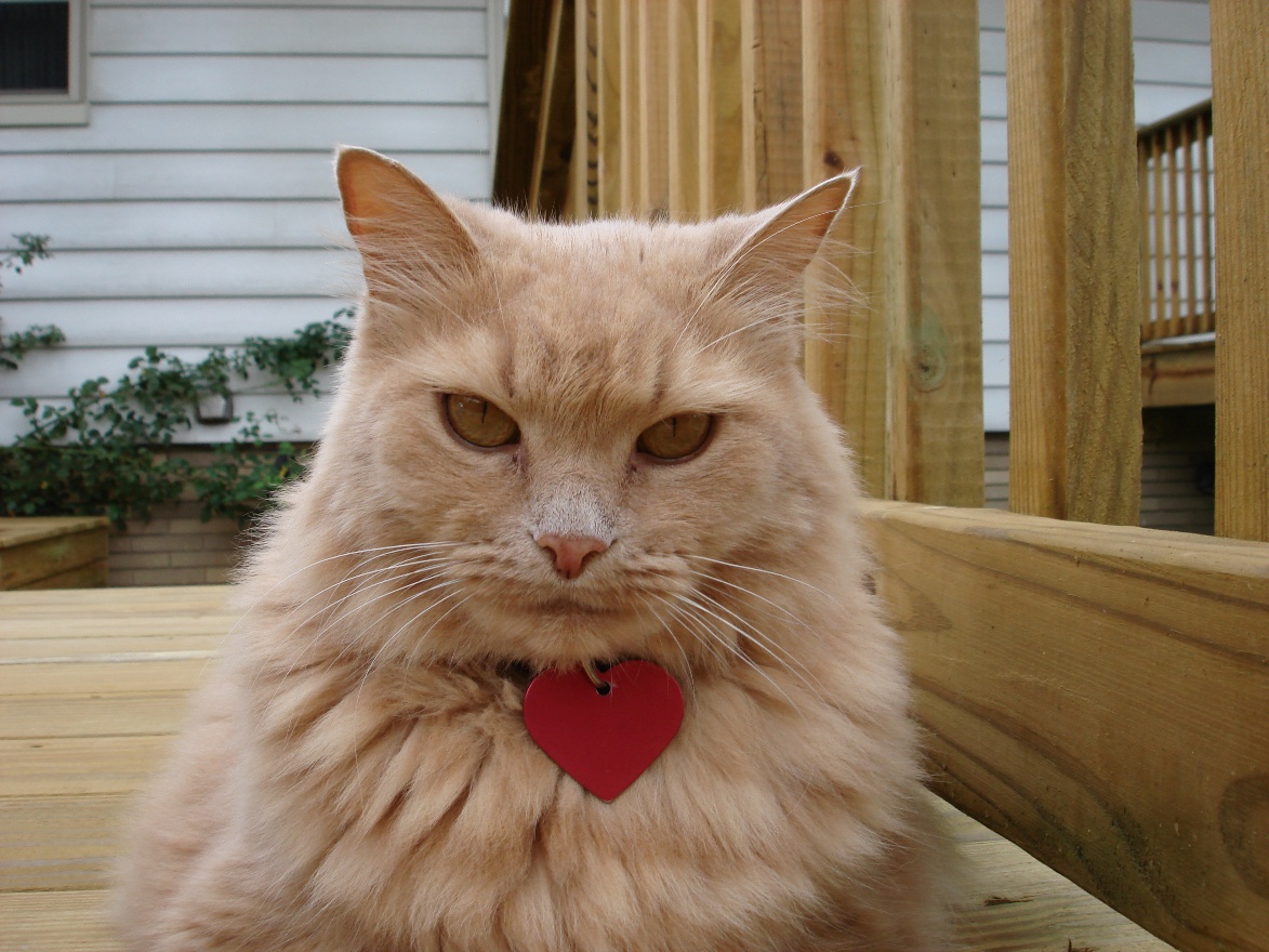 Indifferent