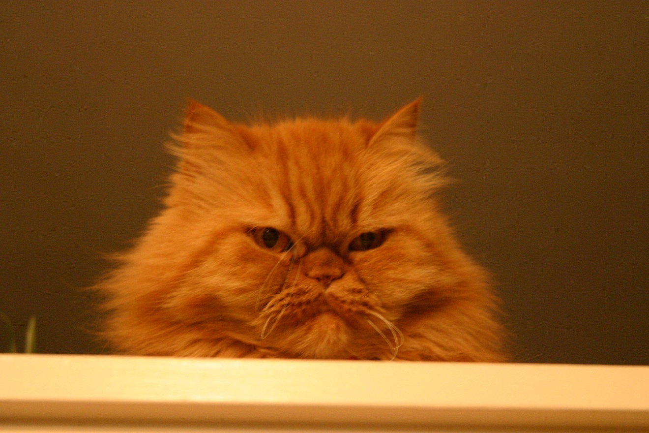Noble