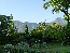 P1010996