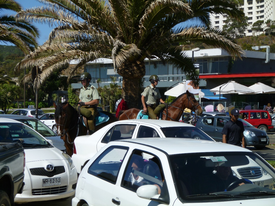 Horses