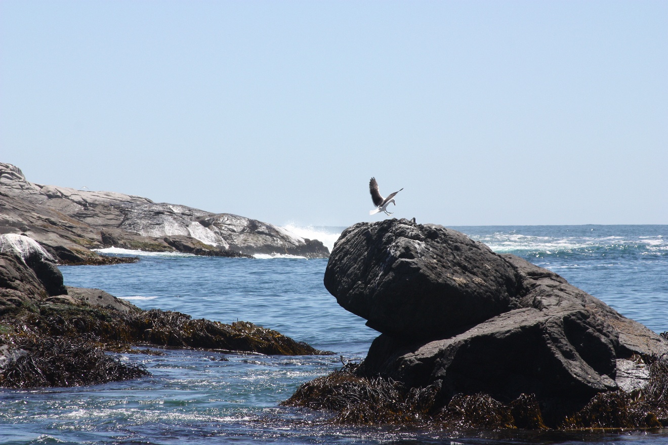 Landing
