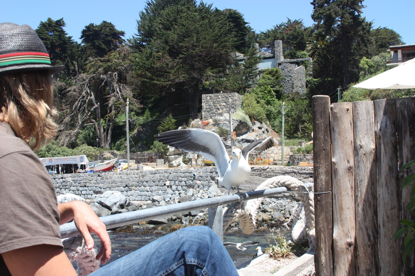 Man and a  bird