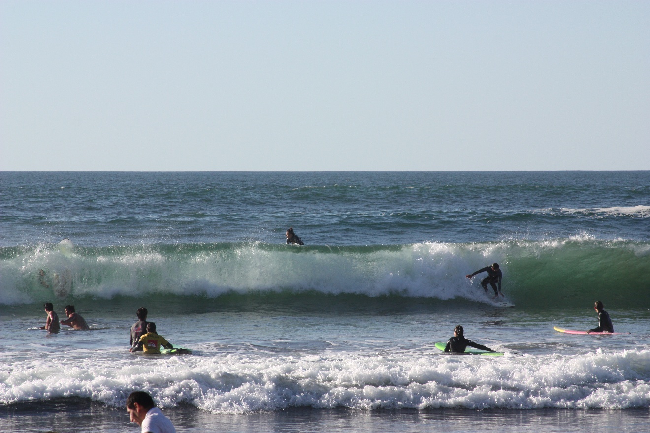 Surf