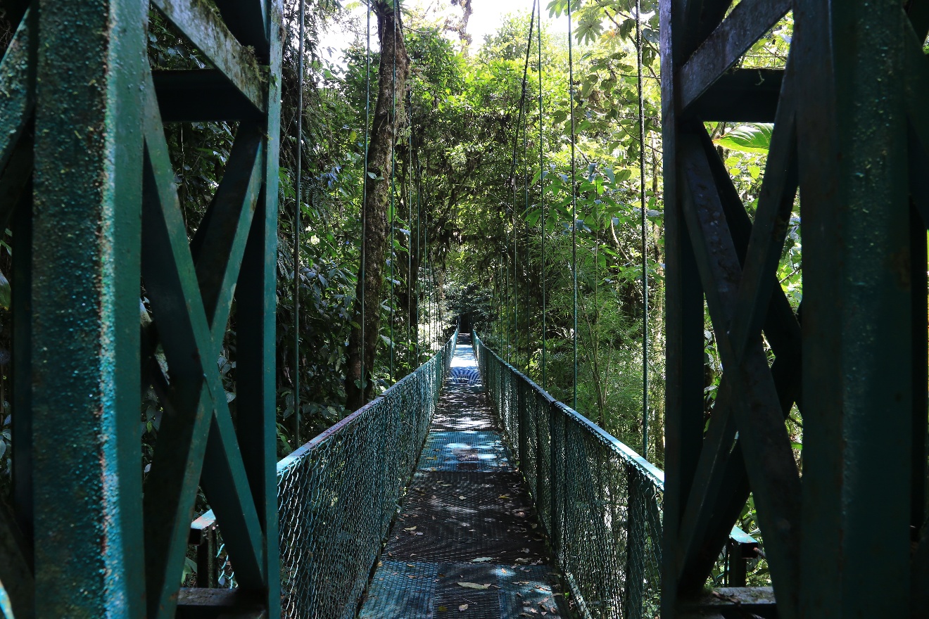 Hanging bridge
