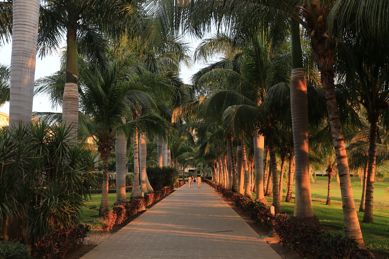 Resort valley evening