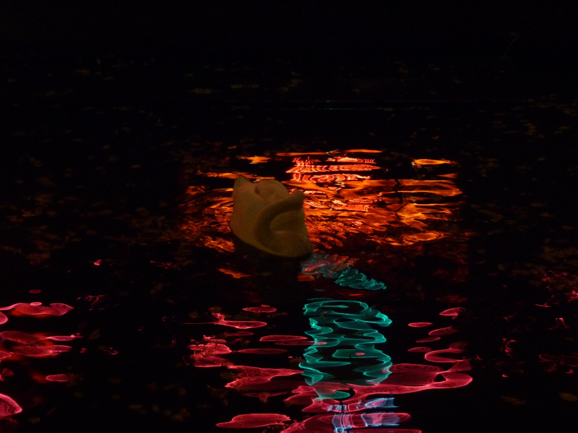 Red water