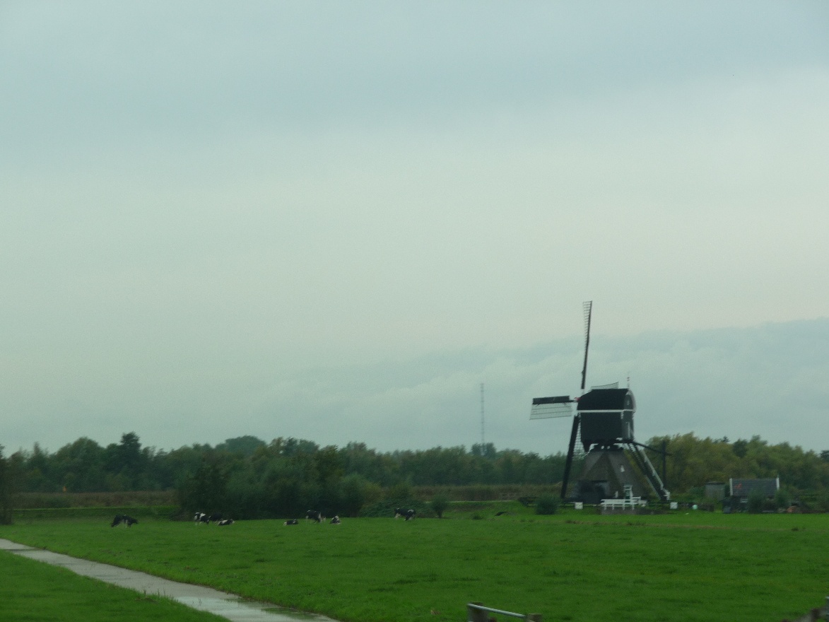 Mill