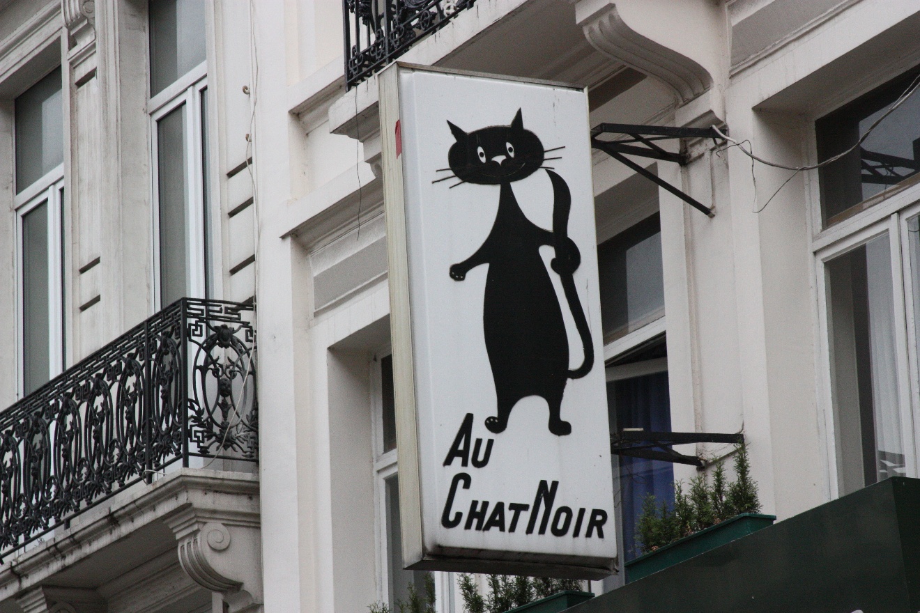 Au ChatNoir