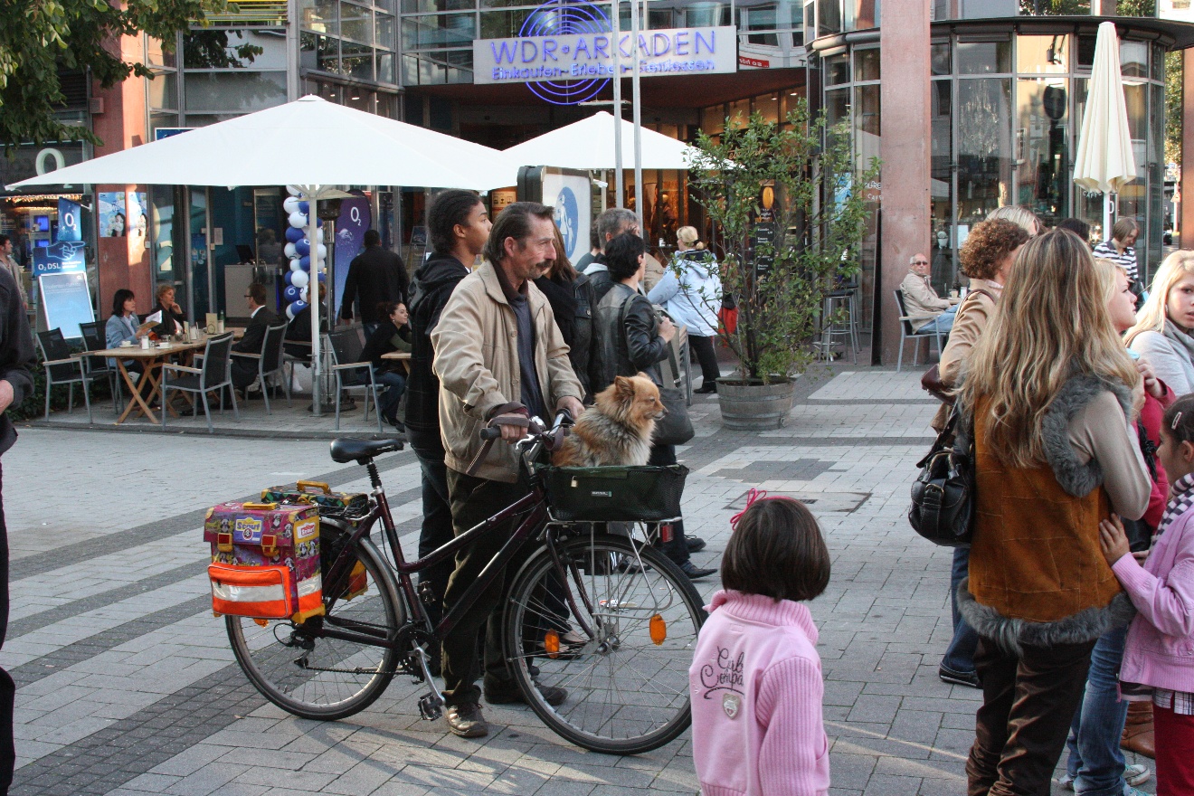 Dog's ride