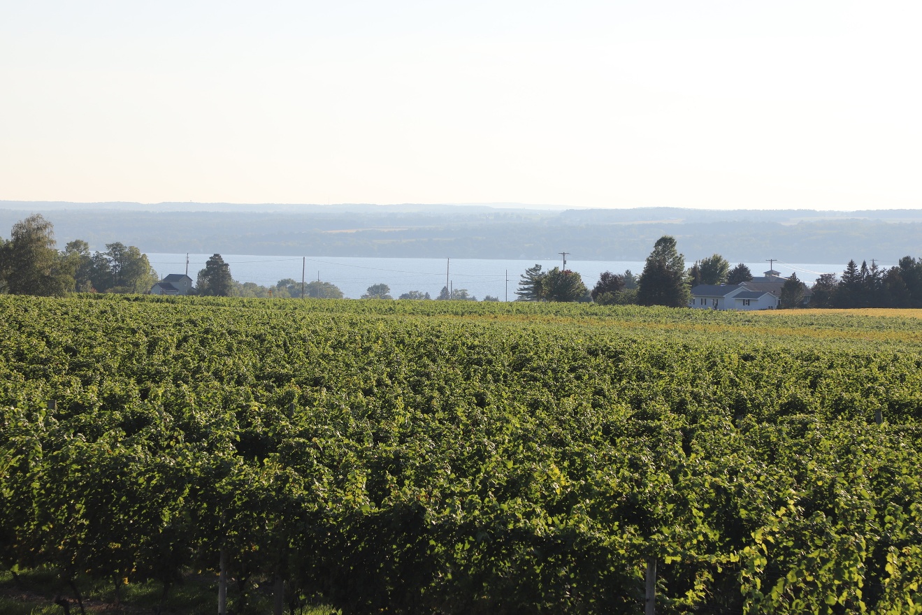 Seneca Lake from Three Brothers