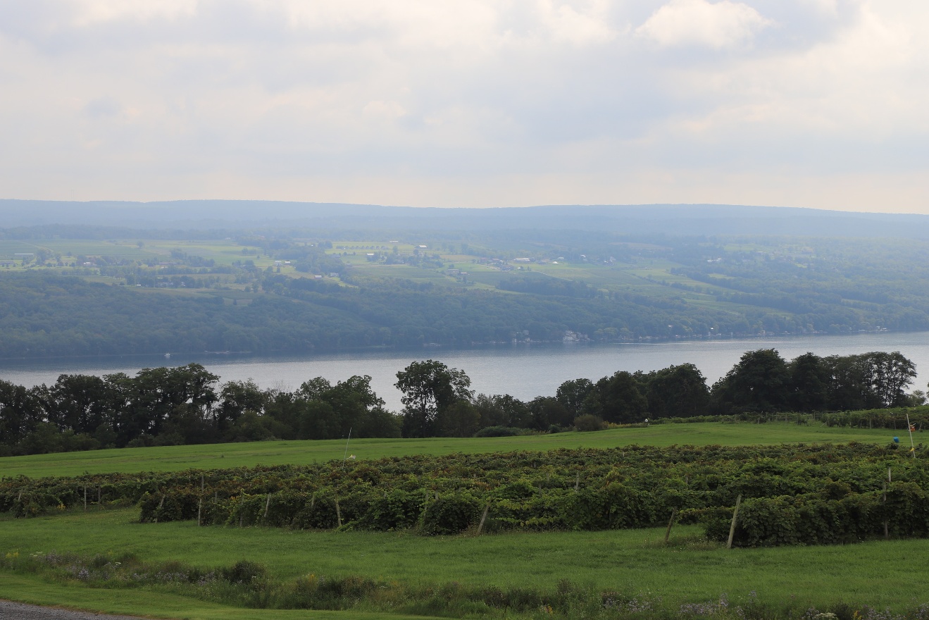Seneca Lake from Glenora