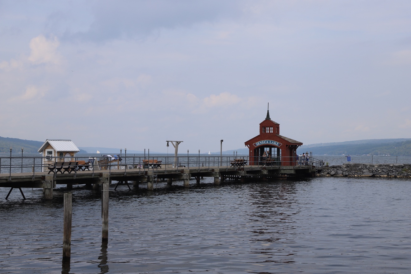 Senect dock