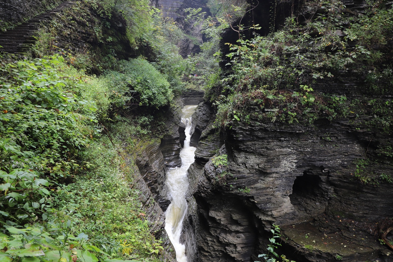 Gorge Trail