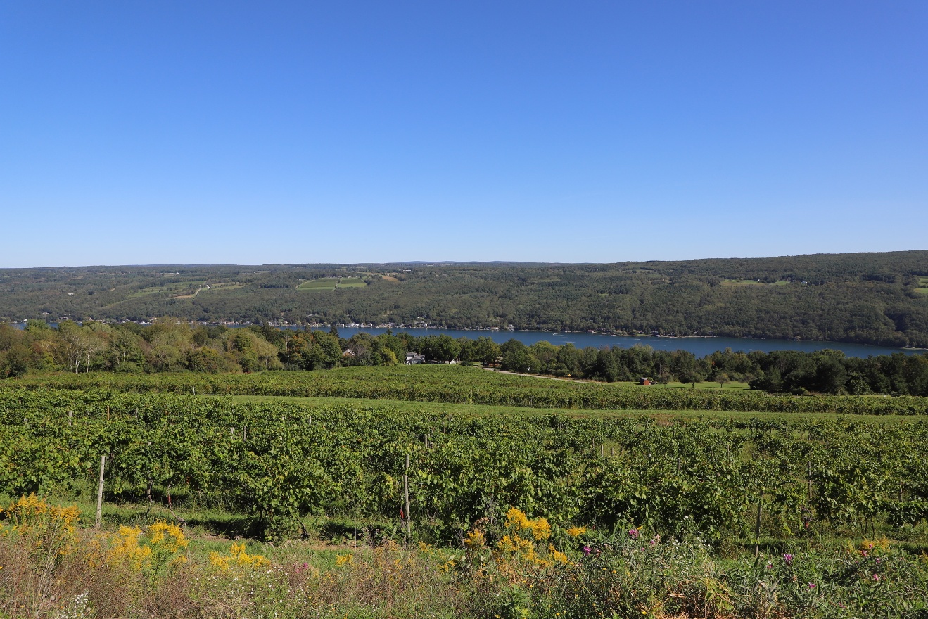 Keuka Lake from Bully Hill Winery