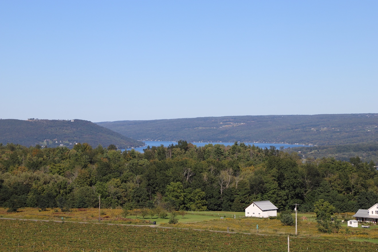 Keuka Lake from Heron Hill Winery