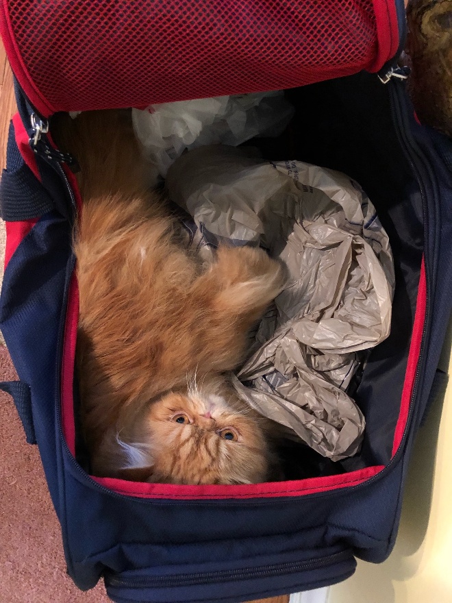 Packing