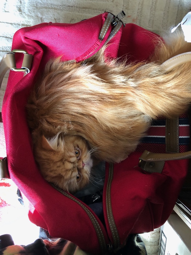 Packing 2