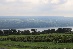 IMG_2207