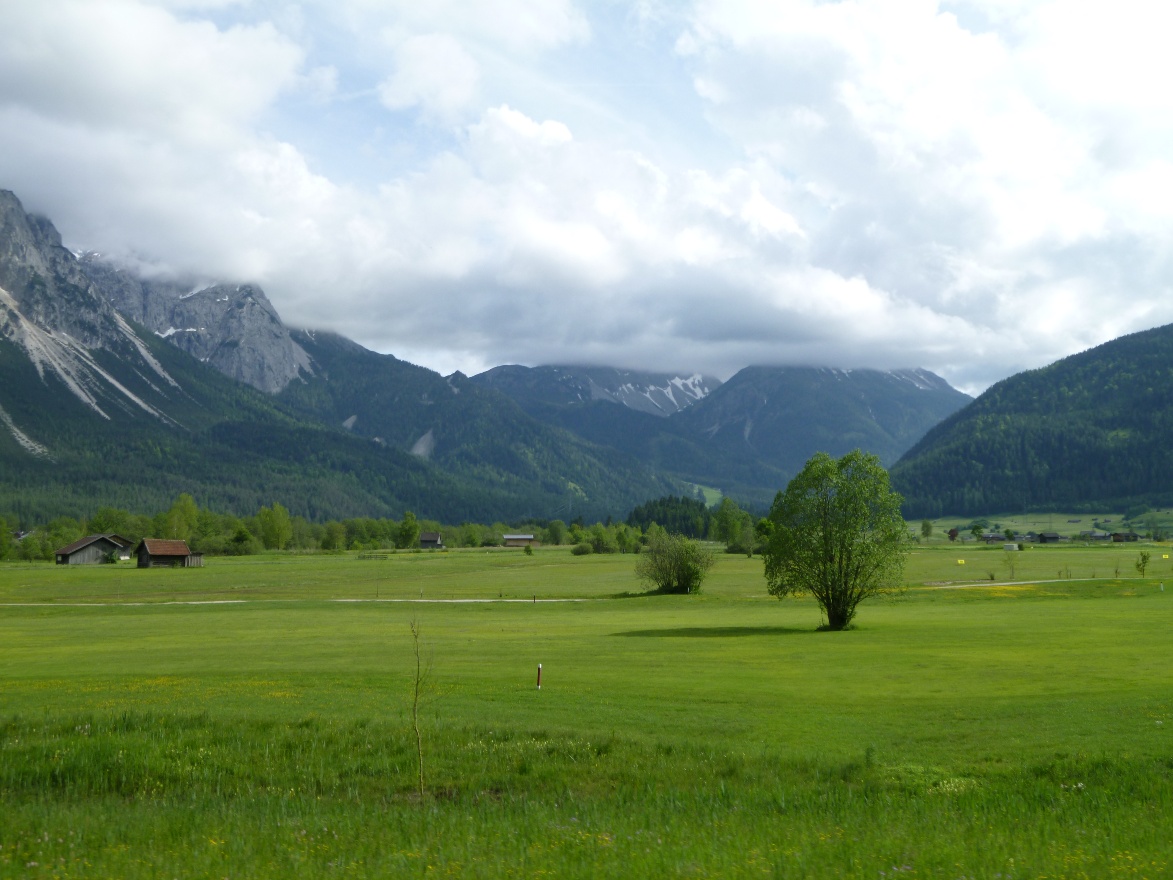 Green and cloudy